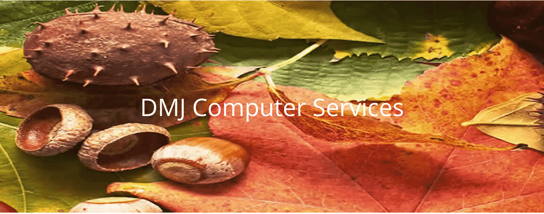 Autumn leaves and acorns with DMJ Computer Services heading
