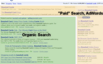 Beginners Guide to Search Engine Optimisation