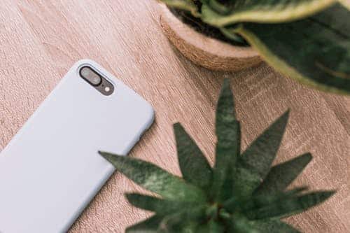 Mobile phone beside a plant on a wooden surface