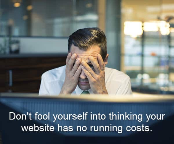 Man holding his hands over his eyes due to running costs of his website