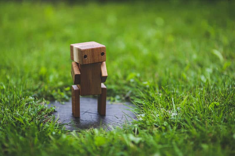 Bot on a grassy lawn area