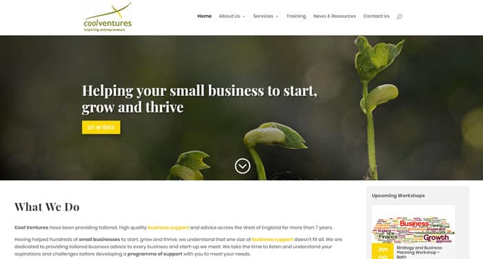 Screenshot of business support website