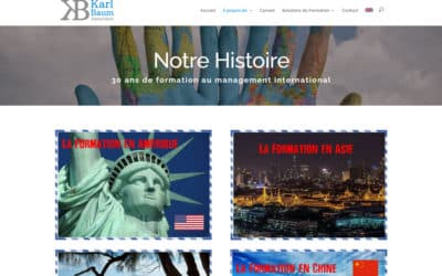 English – French Website Translation project